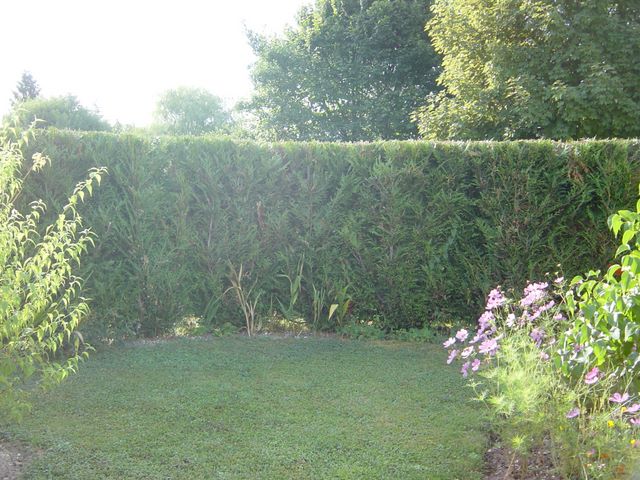 dsc03919.jpg