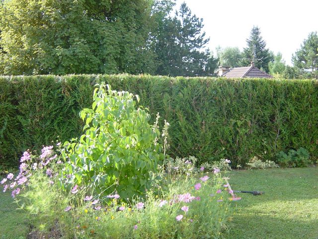 dsc03920.jpg