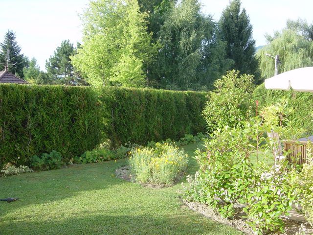 dsc03921.jpg