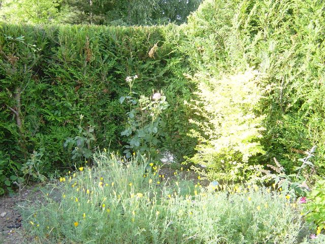 dsc03923.jpg