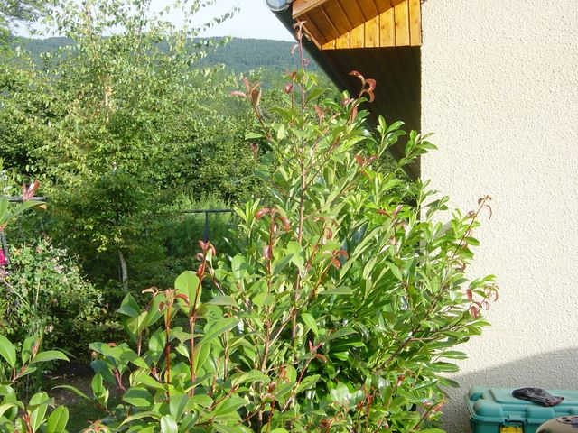 dsc03926.jpg