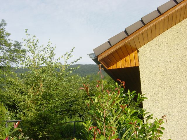 dsc03927.jpg