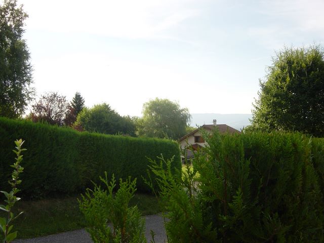 dsc03933.jpg