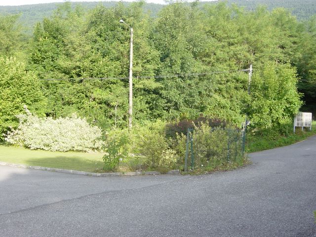 dsc03941.jpg
