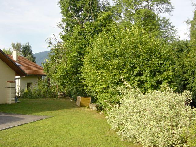 dsc03943.jpg