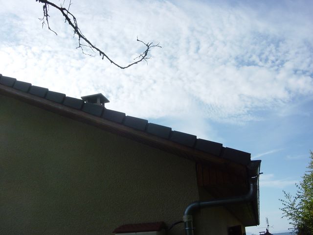 dsc03948.jpg