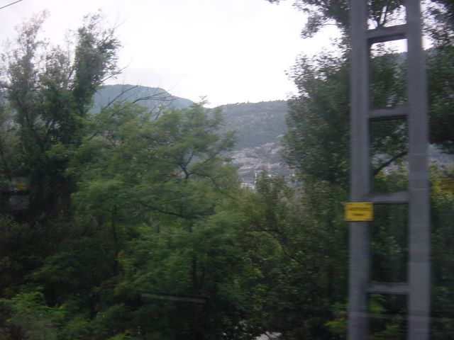 dsc03787.jpg