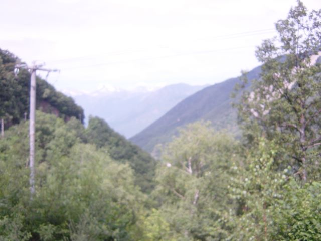 dsc03798.jpg