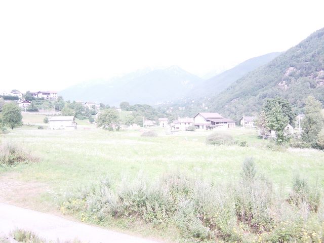 dsc03804.jpg