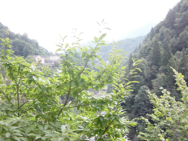 dsc03809.jpg