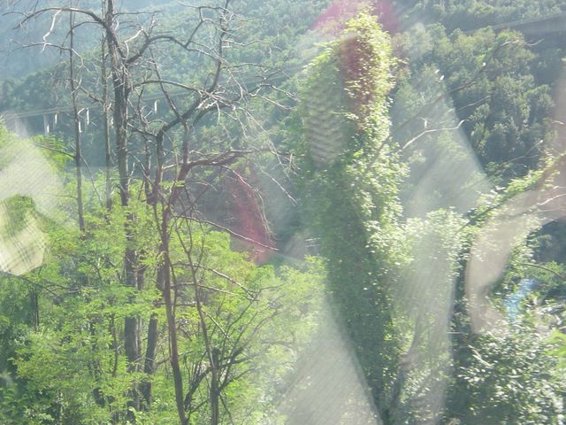 dsc03823.jpg