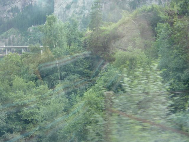 dsc03836.jpg