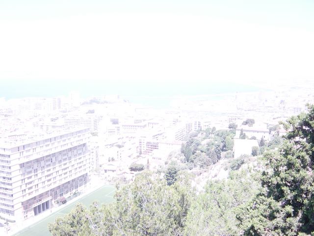 dsc03689.jpg