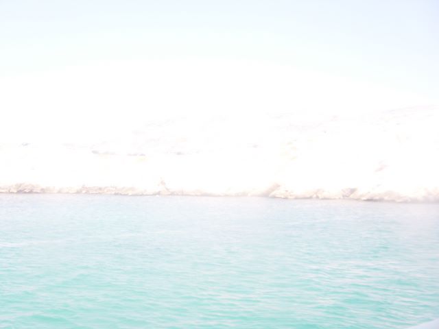 dsc03700.jpg