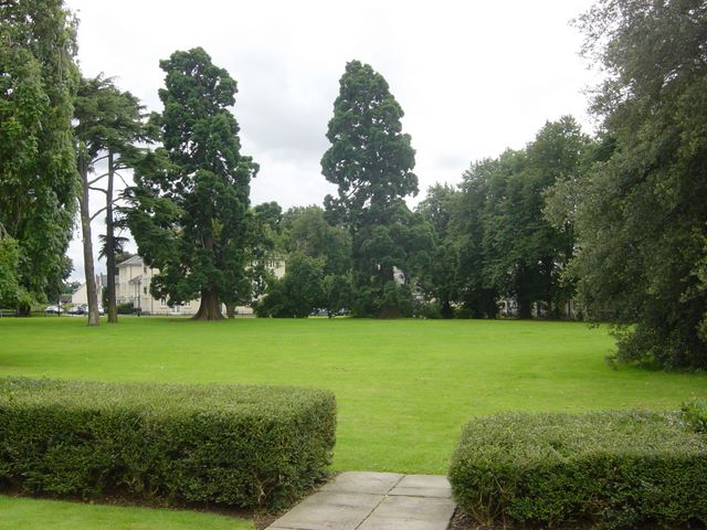 dsc04004_2.jpg