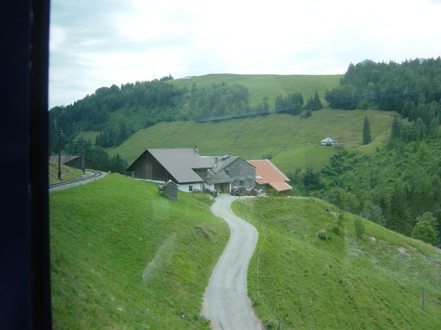 dsc03728.jpg