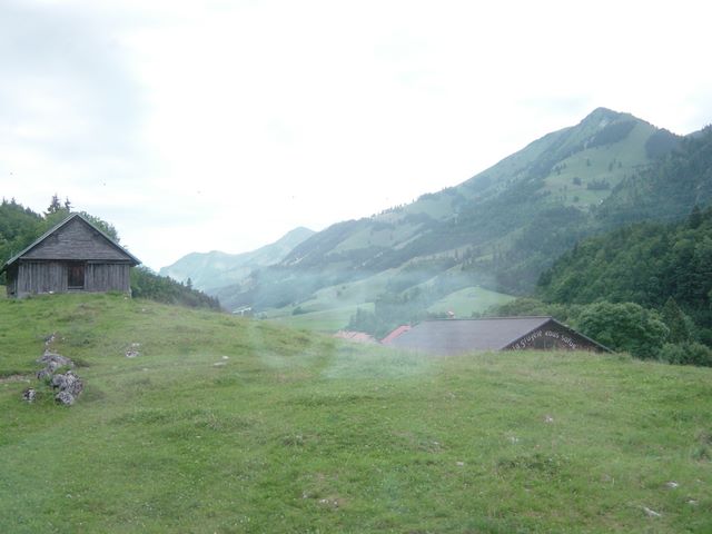 dsc03732.jpg