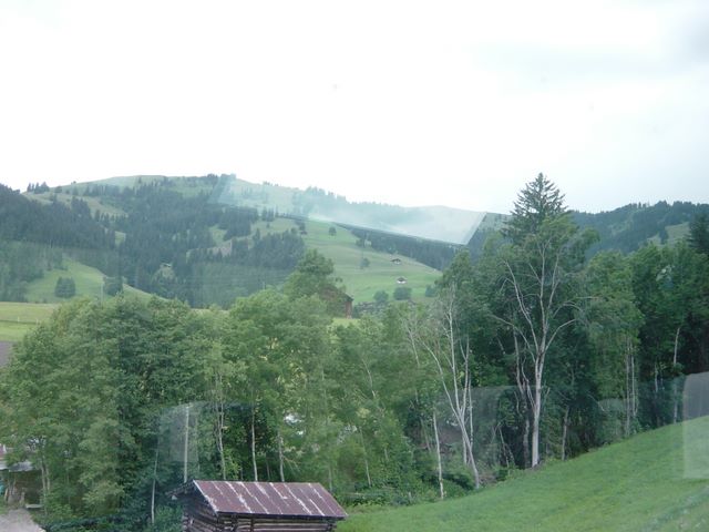 dsc03740.jpg