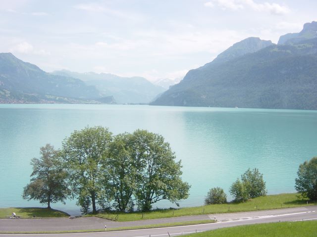 dsc03760.jpg