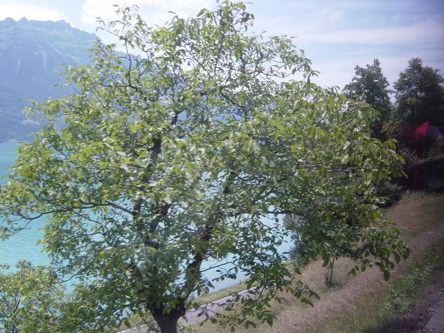 dsc03762.jpg