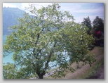 dsc03762.jpg