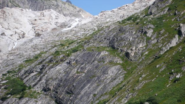 l1000808.jpg