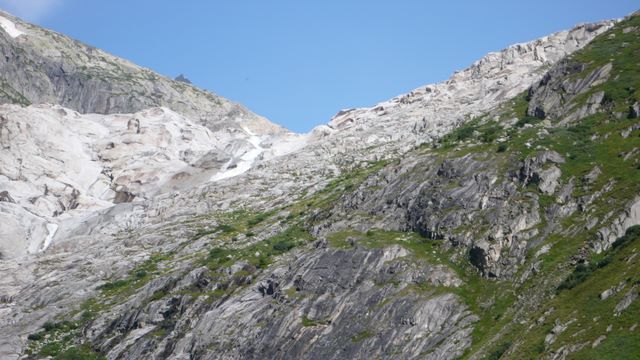 l1000809.jpg
